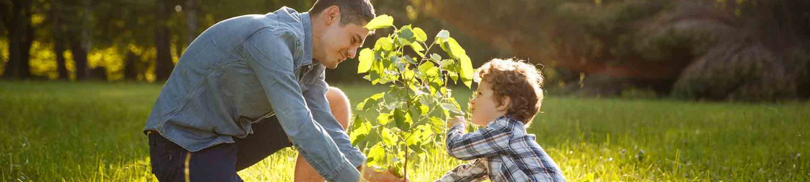 father and son planting a tree